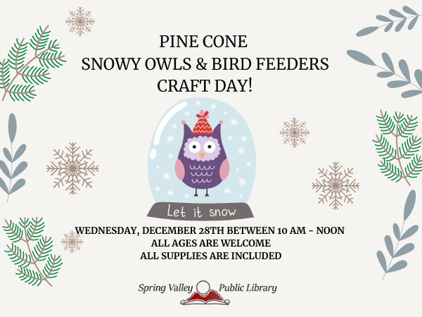 Pine Cone Snowy Owls & Bird feeders
